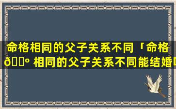 命格相同的父子关系不同「命格 🐺 相同的父子关系不同能结婚吗」